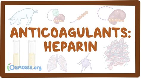 Anticoagulants: Heparin: Video, Causes, & Meaning | Osmosis