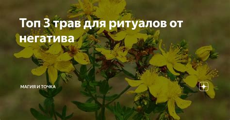 Топ 3 трав для ритуалов от негатива | Магия Усовски | Дзен