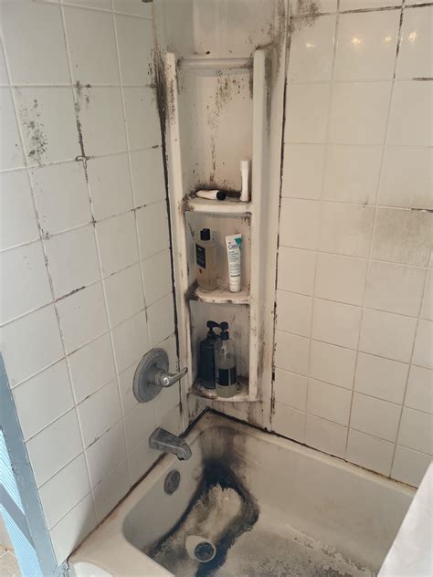 How to remove shower mold : r/Home