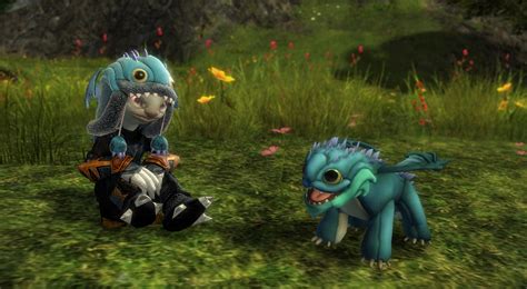 Screenshots – GuildWars2.com