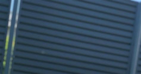 Marcelina Ziętek w bikini opala się z psami w Ustroniu pomponik pl