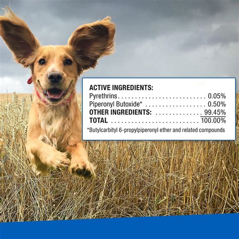 ear mites treatment for cats 1