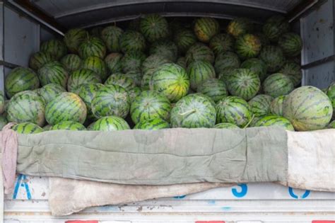 Митничари намериха злато за 150 бона в камион с дини