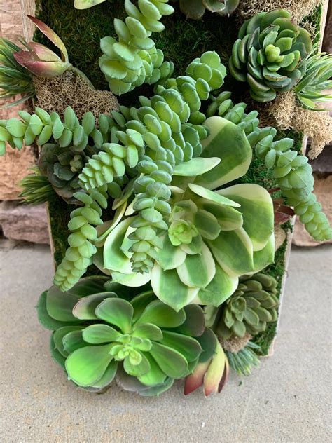 Artificial Succulent Wall Etsy Canada