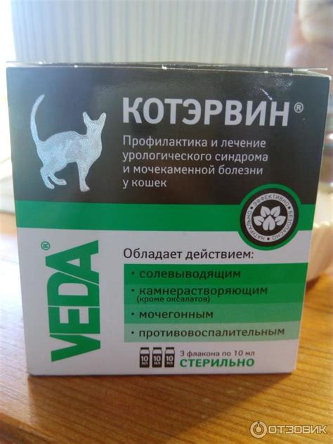 Лекарства от цистита для собак: препараты для лечения цистита
