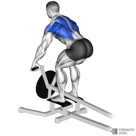 T Bar Row How To Strength Level