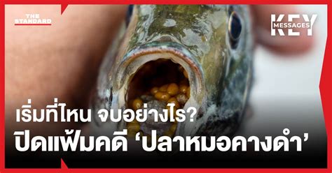 เสียงจากผู้ประสบภัย ‘ปลาหมอคางดำ ในวันที่ไม่เชื่อว่า ‘ปลากะพง จะจบ