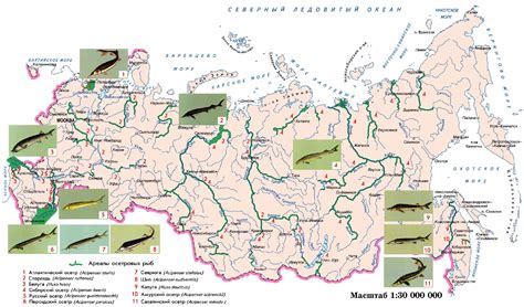 Распространение осетровых видов рыб , Том 2 @ НАЦИОНАЛЬНЫЙ АТЛАС РОССИИ