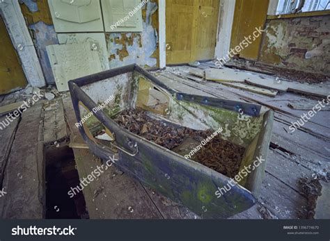 Abandoned House Culture Village Near Chernobyl Stock Photo 1396774670 ...