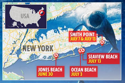 Chilling theories why shark attack victims have been targeted in waist