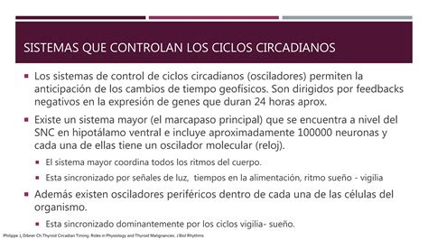 Ciclo Circadiano Tiroideo Ppt