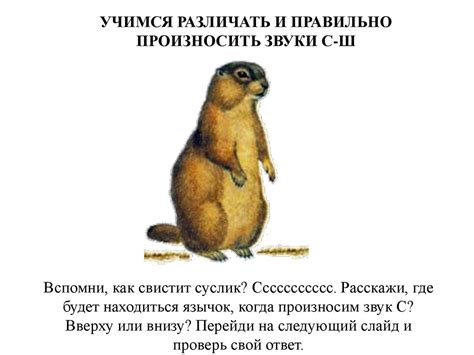 Учимся различать и правильно произносить звуки С-Ш - презентация онлайн
