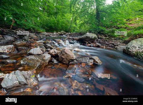 The Hoëgne River In The Belgium Ardennes Is A Small River Full Of