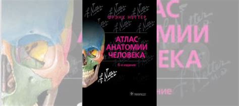 Продам книгу Атлас анатомии человека. Неттер 6 издание. Это... купить в ...