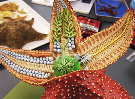 a close up of a decorative bird made out of paper and beads on a table