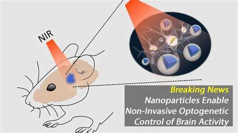 Nanoparticles Enable Non Invasive Optogenetic Control Of Brain Cell Activity With Near Infrared