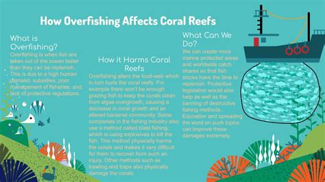 How Overfishing Affects Coral Reefs : r/sustainability