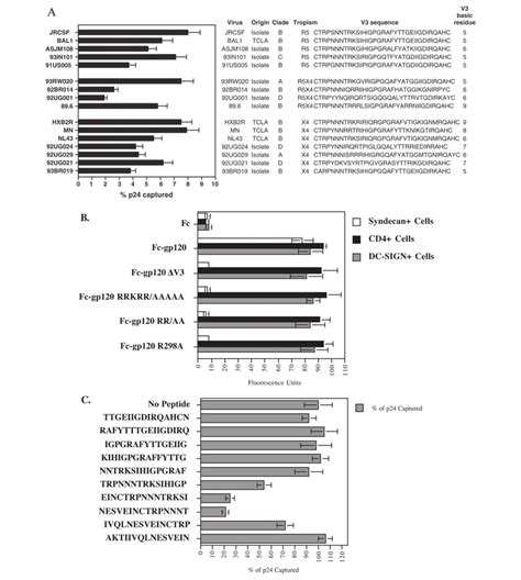 A Single Highly Conserved Arginine At The Base Of The V3 Region Is