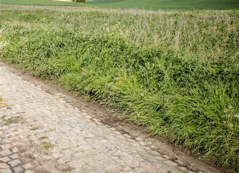 Van Der Poel Tra Fiandre E Roubaix Con I Belgi Fuori Di Testa