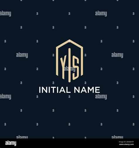 YS Initial Monogram Logo With Hexagonal Shape Style Real Estate Logo