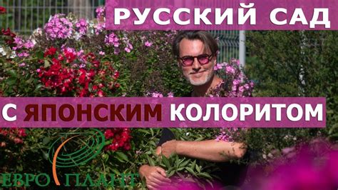 Прогулка по саду на закате лета - YouTube