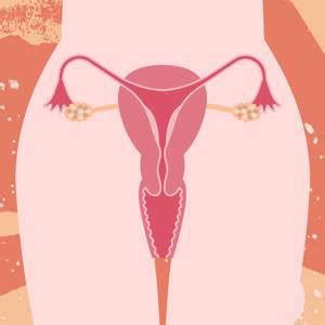 The Best Hot Water Bottles To Buy For Winter Glamour Uk