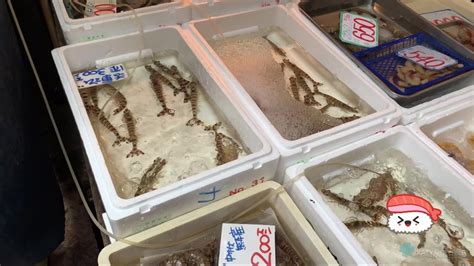 Katya Clover Porn Videos Free Sex Movies