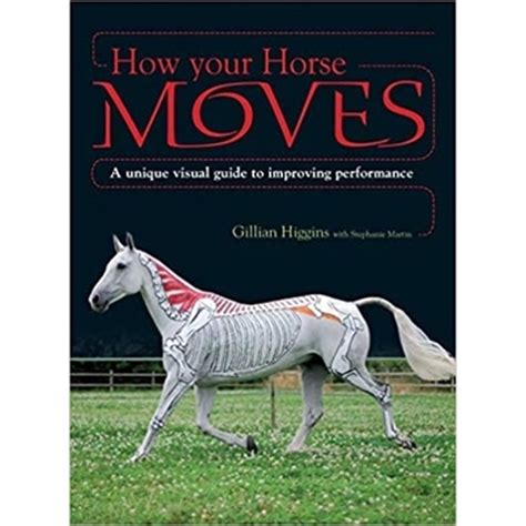 How Your Horse Moves A Unique Visual Guide To Imp