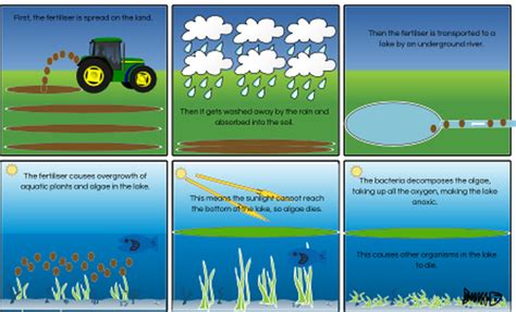 Eutrophication Process - Watersheds