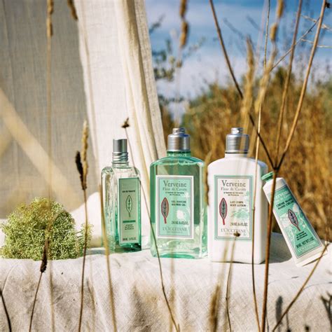 Verveine Fleur De Carotte L Occitane En Provence Parfum Un Nouveau