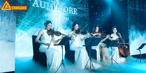 Bảng Giá Cho Thuê Ban Nhạc Mới Nhất 2024 Tại Công Anh Event