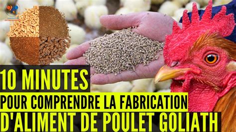 FABRICATION Des ALIMENT DE POULETS GOLIATH Taux D Energie Taux De