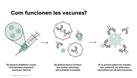 Vacuna Funcionament Actua La Vacuna