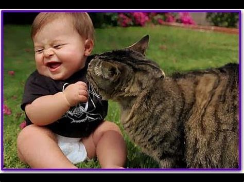 Cute Baby Playing With Cute Cat Funny Cats Video Youtube