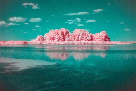 How To Do Infrared Photography With Basic Camera Gear