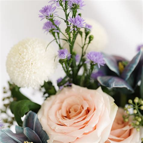 Sweet Lavender