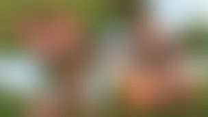 Ytboobs Porn Videos Clips4sale