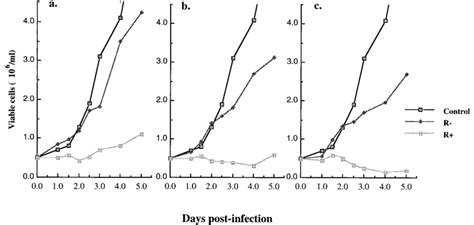 Vpr increases cell killing during single-cycle infection of dividing ... 