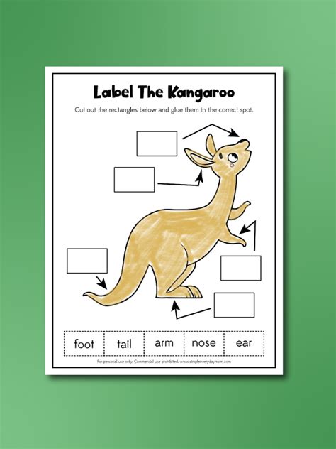 Kangaroo Worksheets For Kids Free Printable