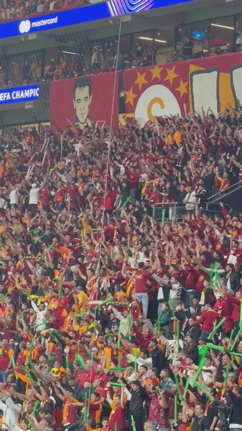 Live Beach Wallpapers Videos, Download The BEST Free 4k Stock Video