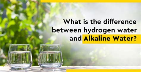 Difference Between Alkaline Water and Hydrogen Water