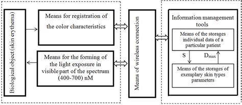 The structure of the means of skin types classification. | Download ...