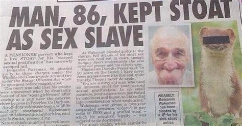 Man 86 Kept Stoat As Sex Slave Imgur