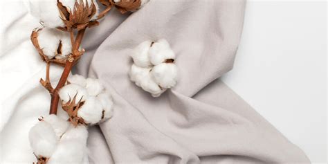 Organic Cotton Fabric Manufacturers in China - The Ultimate Guide