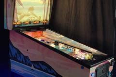 Moana Bikini Swimwear Custom Pinball Game Custom Branded Pinball Promotional Marketing