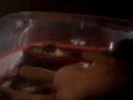 Natalie McCurry nude pics página 1