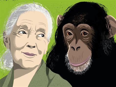 Jane Goodall Murdered