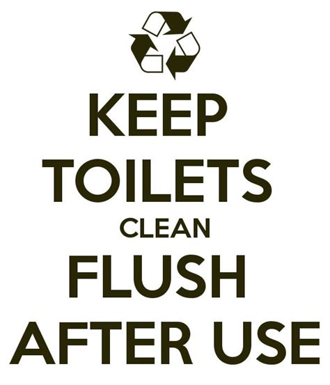 Keep Toilets Clean Flush After Use