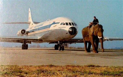 Слон тянет Sud Aviation Caravelle авиакомпании Thai Airlines. Тайланд ...