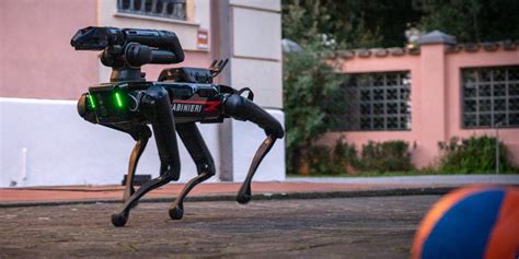 Foto E Video Del Primo Cane Robot Dei Carabinieri Il Post